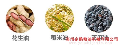 選油換油有講究, 食用油生產(chǎn)廠家教你選油吃油正確方法(圖4)